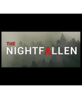 NIGHT FALLEN Steam Key GLOBAL